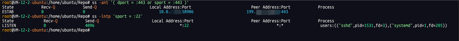 image-20260211144601926