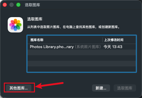 image-20260311134520425